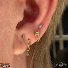 Load image into Gallery viewer, FleshImpressions